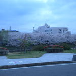 お店から右を見た景色