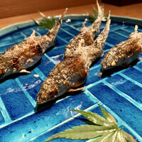 むぎとろ・日本料理 黒やなぎ - 