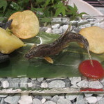 日本料理 TOBIUME - 「清流」　