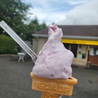 横濱アイス工房_0