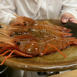 一本杉 川嶋 - ボタン海老