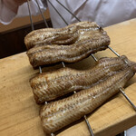 一本杉 川嶋 - 能登鰻