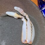 鮨匠 のむら - ㉓蝦蛄の爪(鹿児島県産)
      普通の蝦蛄は泥の中に住むため、泥臭く色も濃いのですが、これは砂地に棲むため非常にクリアな色と味わいがあります。
      シャコで一番甘い部分、蟹のような濃い味ではなく、クリアな甘さ。