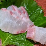 鮨匠 のむら - ④白星笛鯛(鹿児島県開聞岳沖産、2.2kg、朝獲れ)背身&腹身
      産卵期は春～夏、旬は春～夏
      背身は脂の甘みと旨み、コリ感が良い
      腹身は脂のりが抜群で甘みと脂の旨みと身のアミノ酸の旨みが相まって極上です