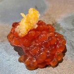 鮨匠 のむら - ㉕筋子(北海道産)
      これは昨年の筋子を業務用の冷凍庫で-60℃で瞬間冷凍したものです。
      接岸する前の沖合い白鮭の筋子を使っています。
      海のTKG、筋子はのむら特製出汁醤油に30秒潜らせてあります。