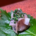 鮨匠 のむら - ⑧白鯵(根付き真鯵)(鹿児島県開聞岳沖産)
      産卵期は春～夏、旬は秋～冬。
      根付きとは餌が豊富な瀬に付き、回遊しない魚のこと
      条件の良い場所を陣取る強い個体で当然脂のりも良く、脂は軽く、爽やかに蕩けます