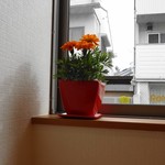 水谷珈琲 - ところどころにお花が♪