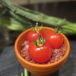 レストラン バカール - 