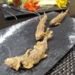 レストラン バカール - 