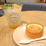 CHEESE GARDEN - オレンジフレッシュソーダとバスクチーズケーキ(ミニ)