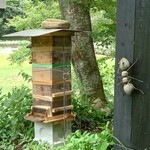 くつきそば 永昌庵 - 