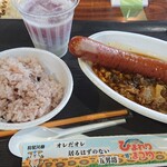 スープカレーの田中さん - 