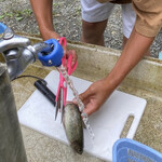 朽木渓流魚センター　バーベキューハウス - 