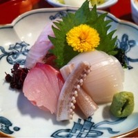 伊豆の旬 やんも 南青山店 - 