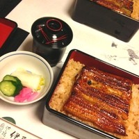 鰻割烹 伊豆栄 本店 - 