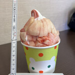 Yoshikawaya - かき氷９００円フルーツ側