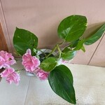 市場食堂 中華 美山 - 