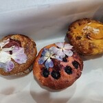 喫茶室 素朴舎 - 