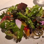 レフェルヴェソンス - 