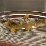 てんぷらと和食 山の上 本店・御茶ノ水 - 