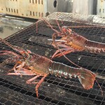 相浜組合直売所 - 