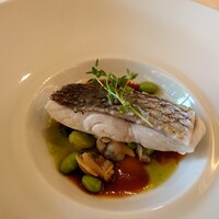 コートロティ - 