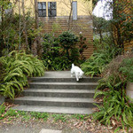 オーベルジュあかだま - 