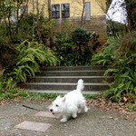 オーベルジュあかだま - 