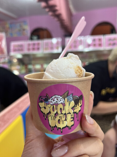 【junkie】アイスドピニャコラーダ pina-colada-ice-cream-1.jpg