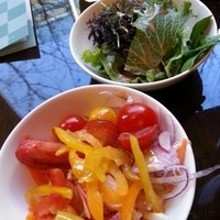 ダイニング 流 - サラダ、野菜の種類は天下一品。