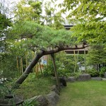 丸新 - （2022/7月）前庭