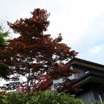 丸新 - （2022/7月）外観