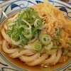 Marugame Seimen - 