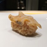 恵比寿 鮨 栞庵 やましろ - つぶ貝