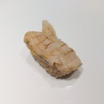 恵比寿 鮨 栞庵 やましろ - つぶ貝