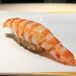 恵比寿 鮨 栞庵 やましろ - 車えび