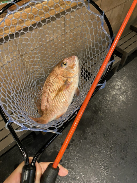 Zauo Komaki Ten photo 2