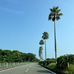 一心鮨 光洋 - 一ツ葉有料道路のヤシの木は南国ムードがあります♡