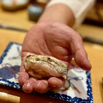 一心鮨 光洋 - ③太刀魚〜身が厚い、ドラゴンクラス。