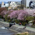 天ぷら割烹　嵯峨野 - 