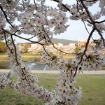 天ぷら割烹　嵯峨野 - 