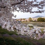 天ぷら割烹　嵯峨野 - 