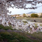 天ぷら割烹　嵯峨野 - 