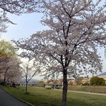 天ぷら割烹 嵯峨野 (ホテル日航プリンセス京都) - 