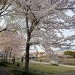 天ぷら割烹 嵯峨野 (ホテル日航プリンセス京都) - 