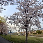 天ぷら割烹 嵯峨野 (ホテル日航プリンセス京都) - 