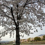 天ぷら割烹 嵯峨野 (ホテル日航プリンセス京都) - 