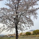 天ぷら割烹　嵯峨野 - 