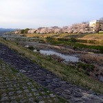 天ぷら割烹 嵯峨野 (ホテル日航プリンセス京都) - 