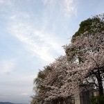 天ぷら割烹 嵯峨野 (ホテル日航プリンセス京都) - 